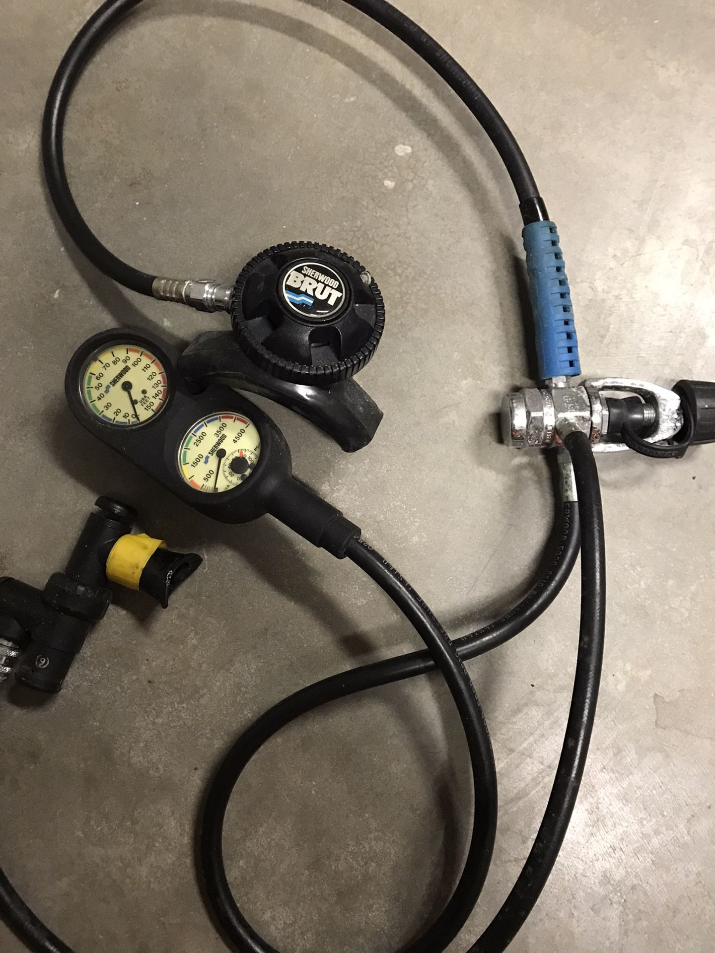Diving Computer And Gages