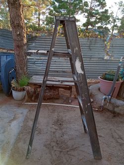 Ladder (5 feet tall )