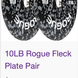 Rogue Fleck Plate Set 10lb