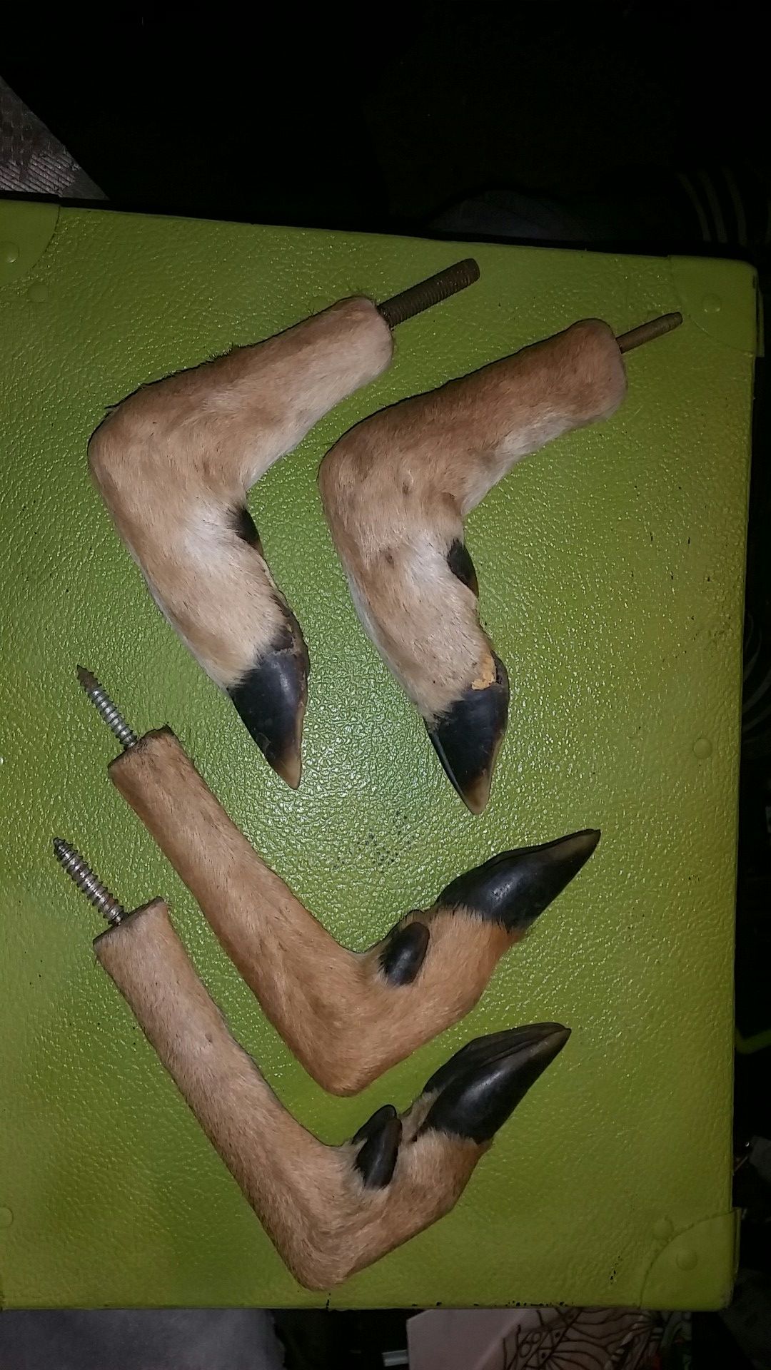 Deer feet gun holders