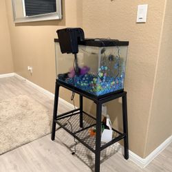 Fish Tank 