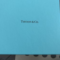 Tiffany Bone China Coin Box 