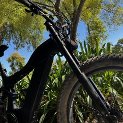 Fat Tire Mtn  E- Bike Carbon Fiber 