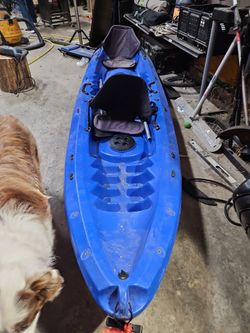 Kayak