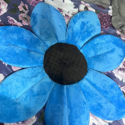 Blooming Bath Sunflower 