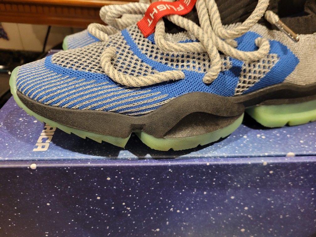 Puma SIA CV0.02 NASA