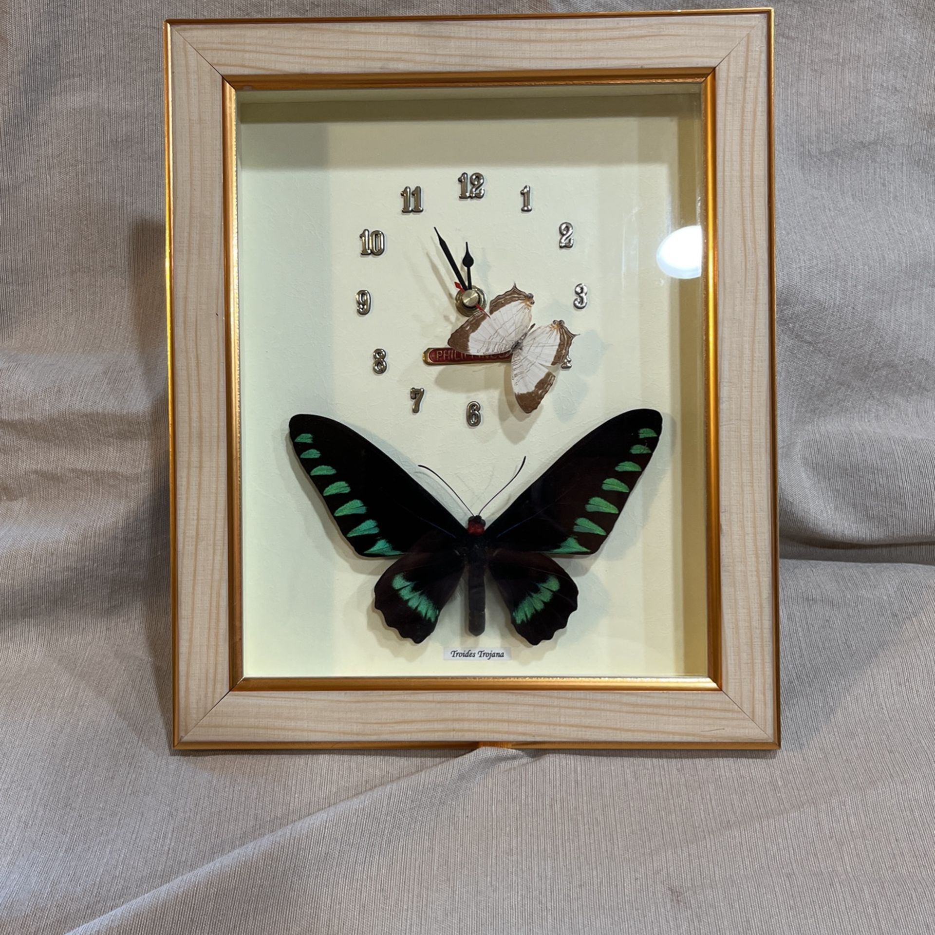 Butterfly Clock