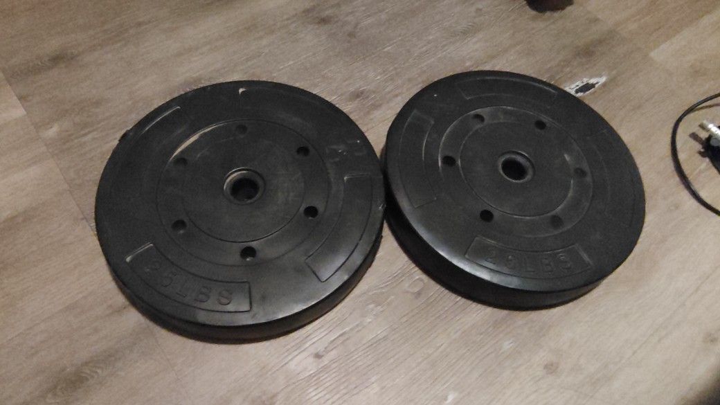 Two 25 Lb Weights(50lb Total)