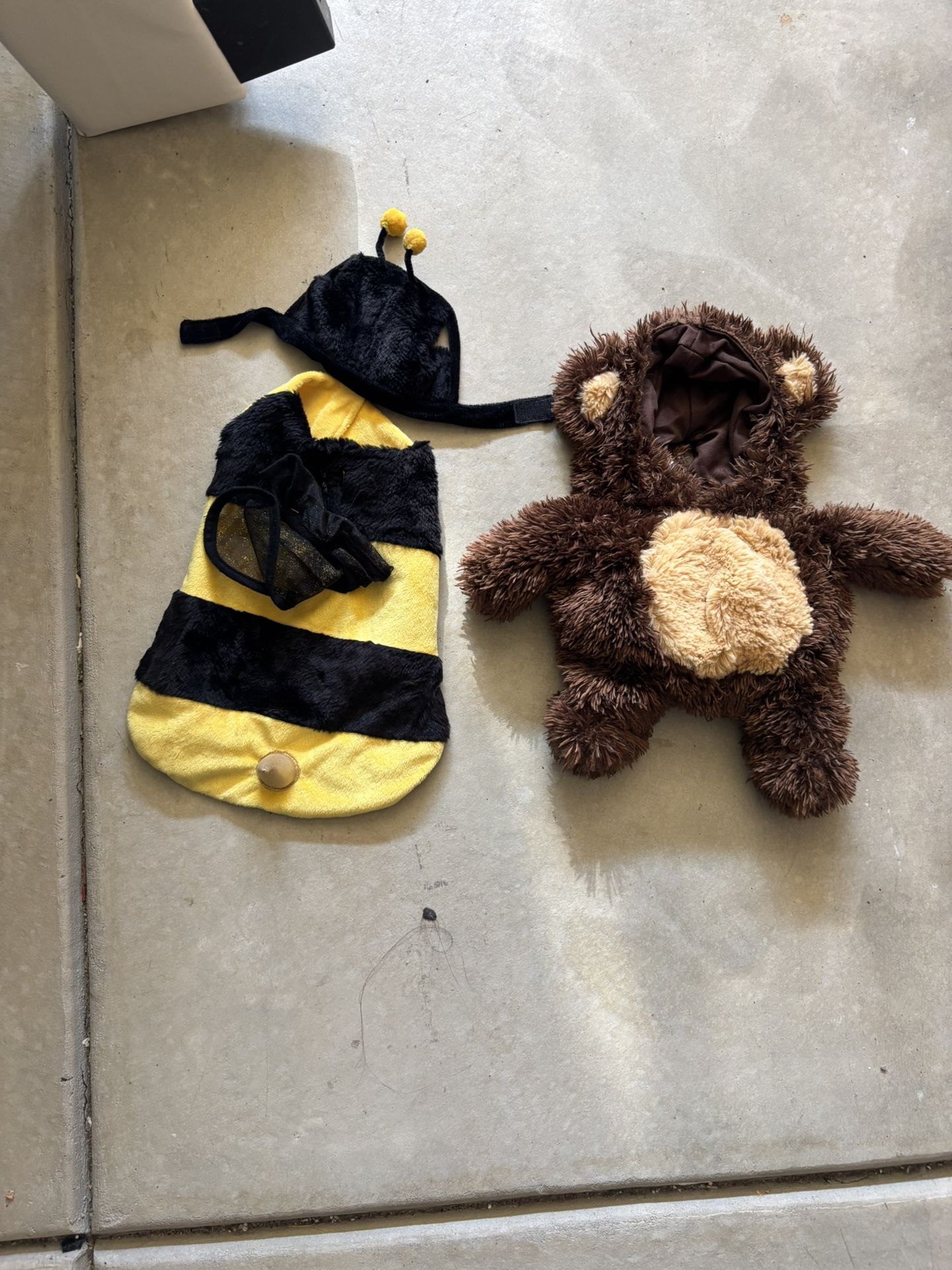 Halloween dog costumes (12) Of Them