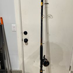 Fishing Pole 15 Feet