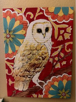 Owl Canvas Prints