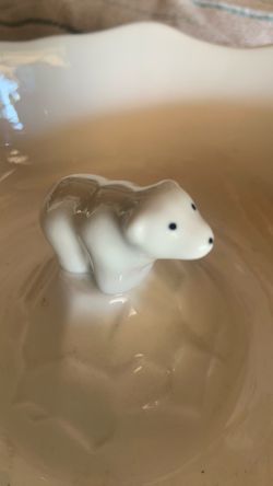 Arctic Polar Bear