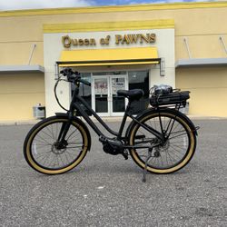 E-Bike Momentum Lafree