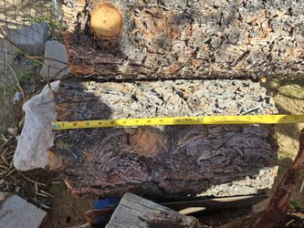 Fire Wood