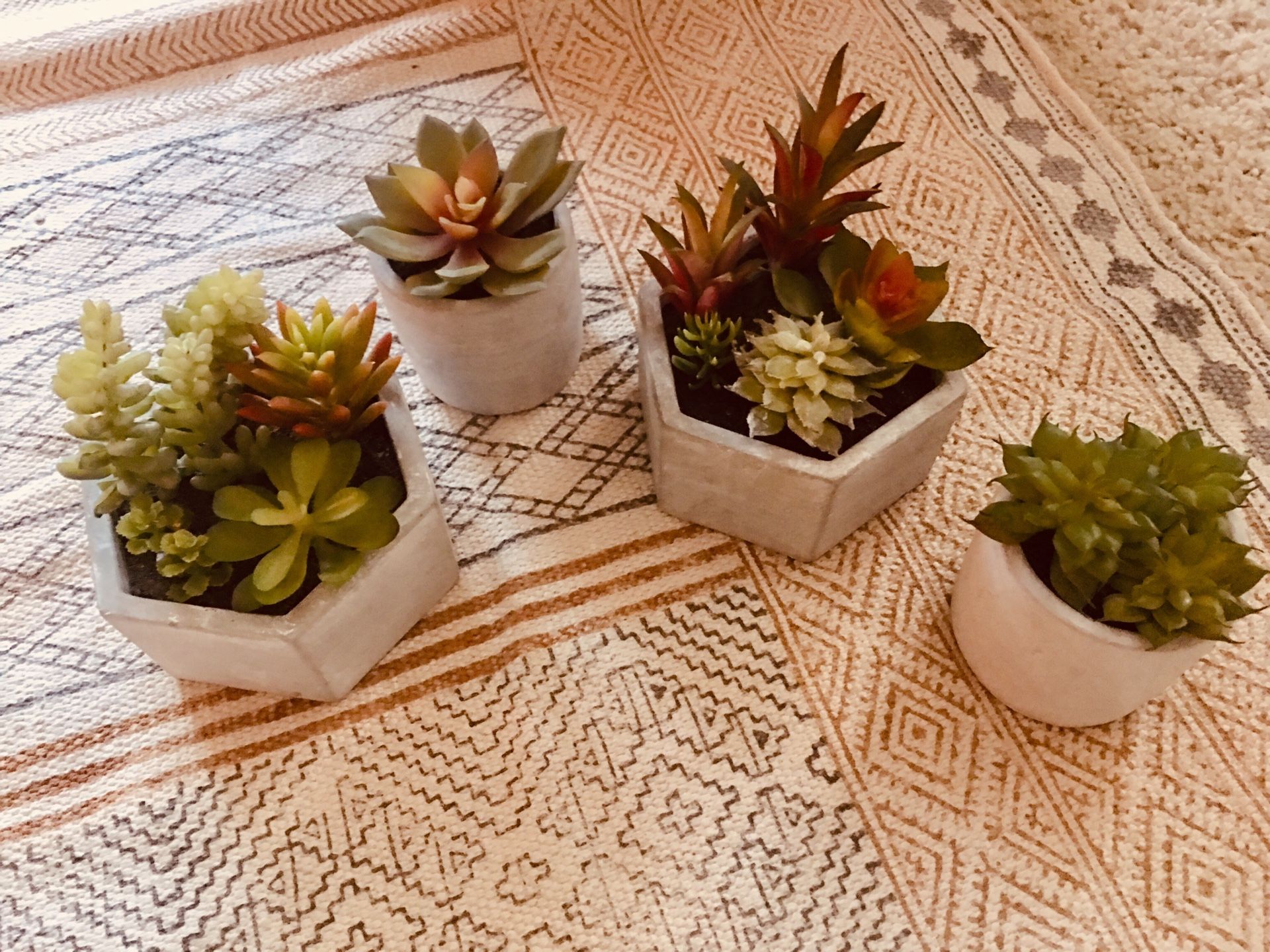 Faux Succulents