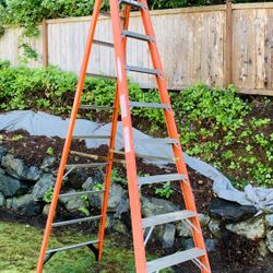 Werner 10 Ft Step Ladder