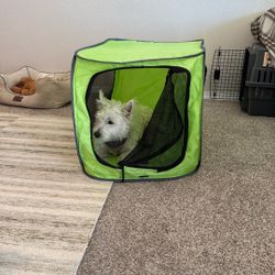 Collapsible Dog Crate