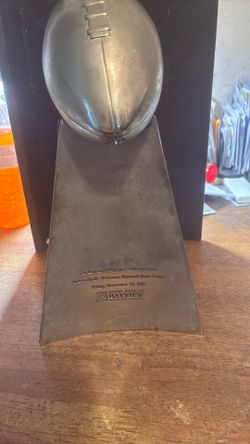 Ravens fan, fantastic charity event