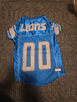 NFL DETROIT