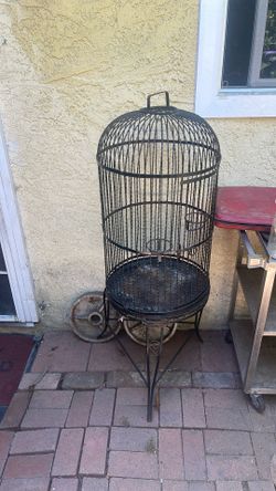 Bird Cage
