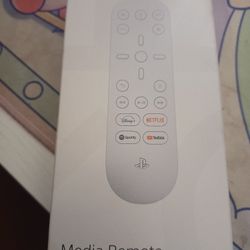 Playstation 5  Media Remote