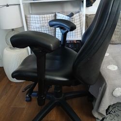 Ergogenesis Office Chair