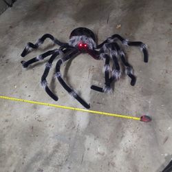 Giant Halloween Spider