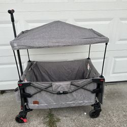 Wagon Stroller 