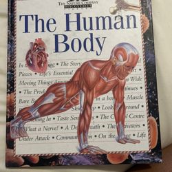 The Human Body