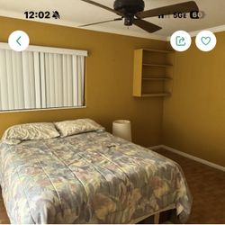 Bed, Frame, Box Spring, Sheets, Blanket & Pillow