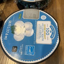 100 LED cool White lights 