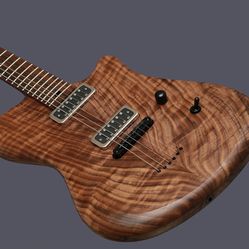Custom Build Electric  Guitar