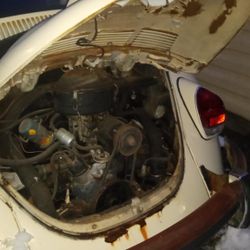 1977 Volkswagen Beetle