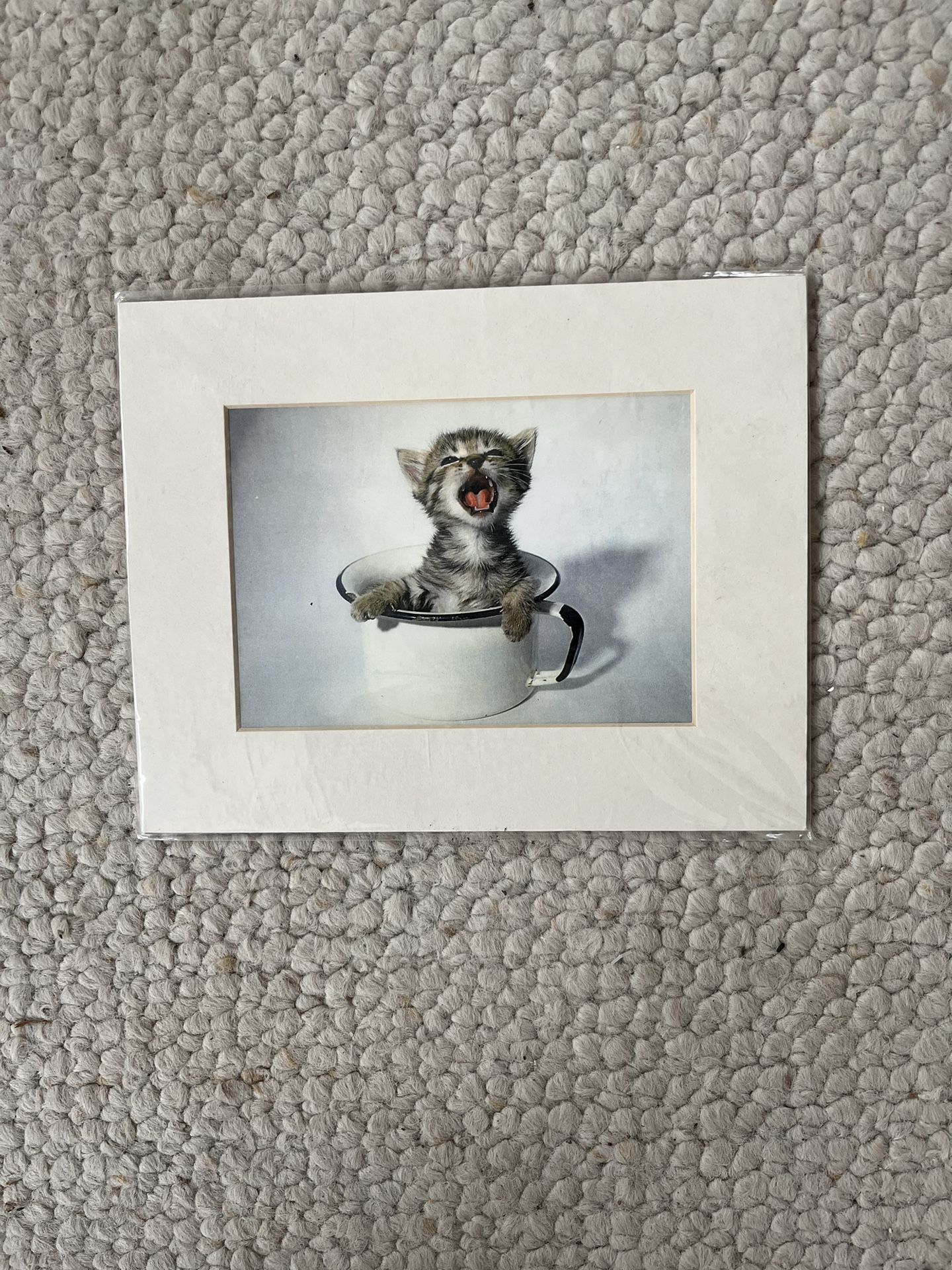 Cat Picture With Framing Matt