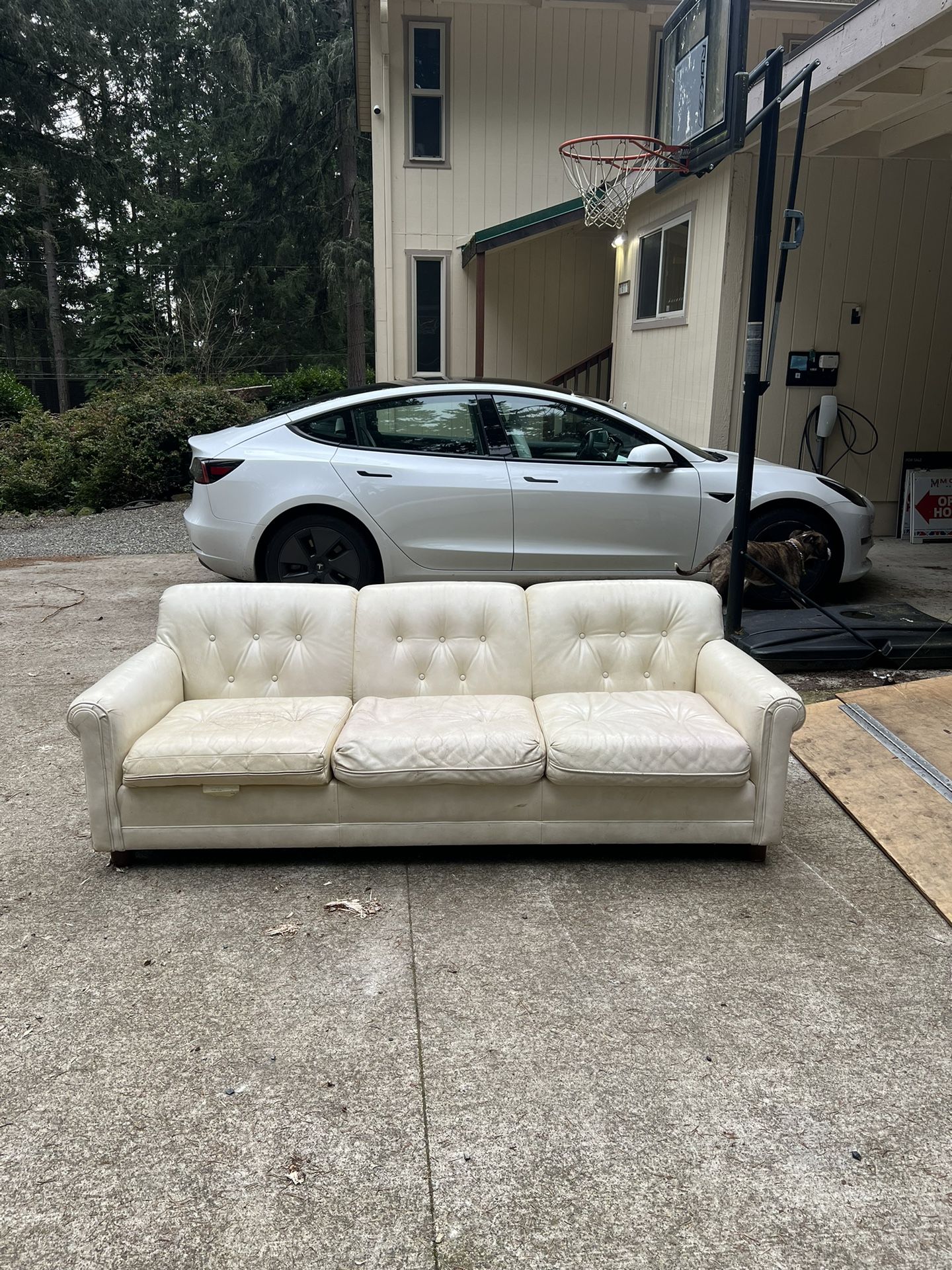 Free White Leather Couch 