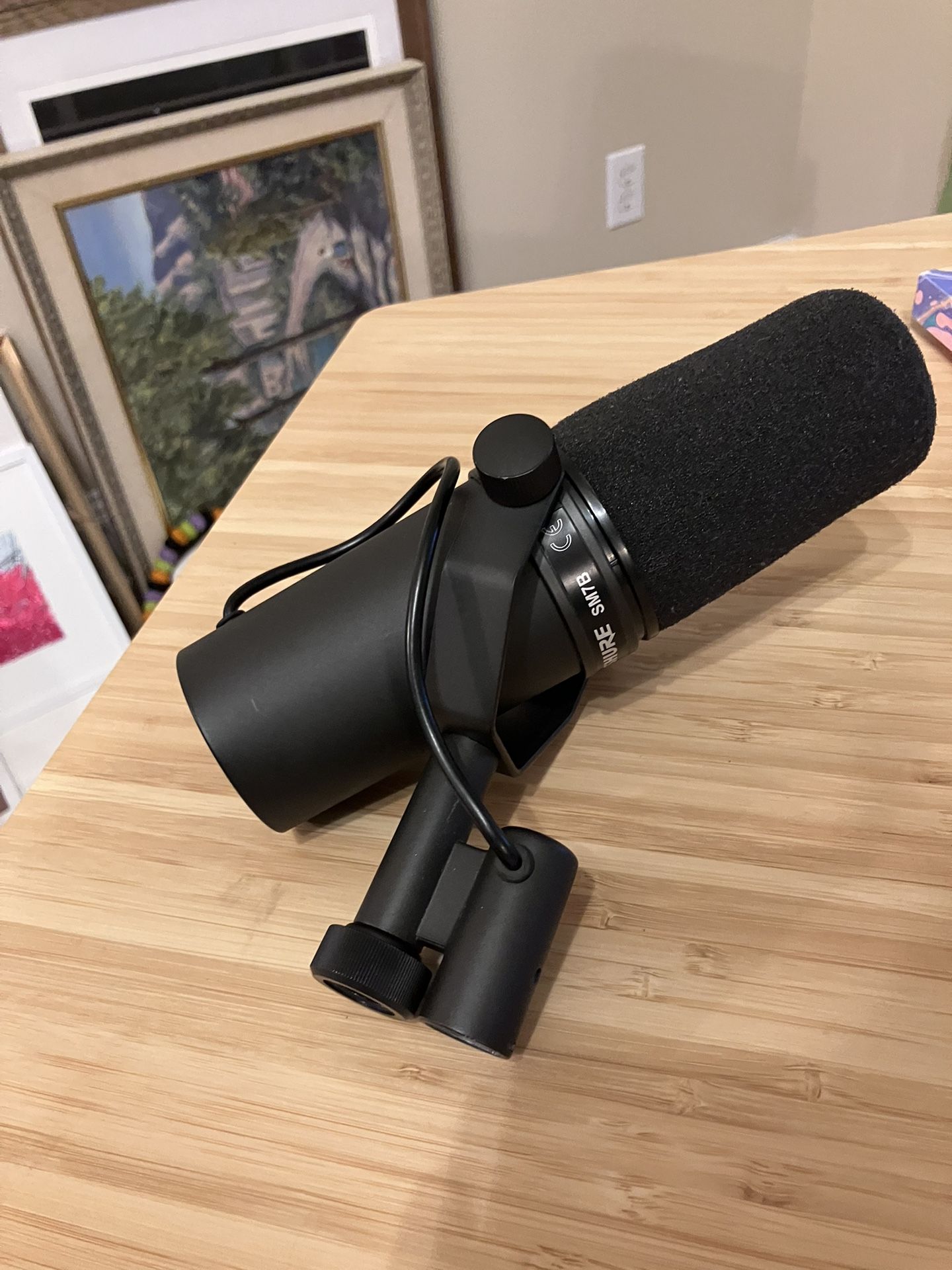 Shure SM7B Microphone