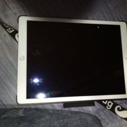 iPad 