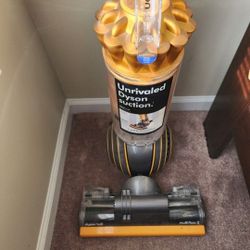 Dyson Vaccume 