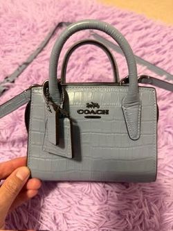 COACH  Andrea Mini Carry All