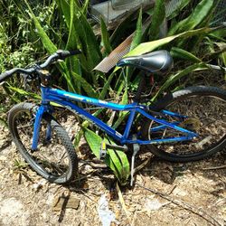 Raleigh 24" Bicycle 