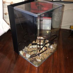5 gallon fish tank 