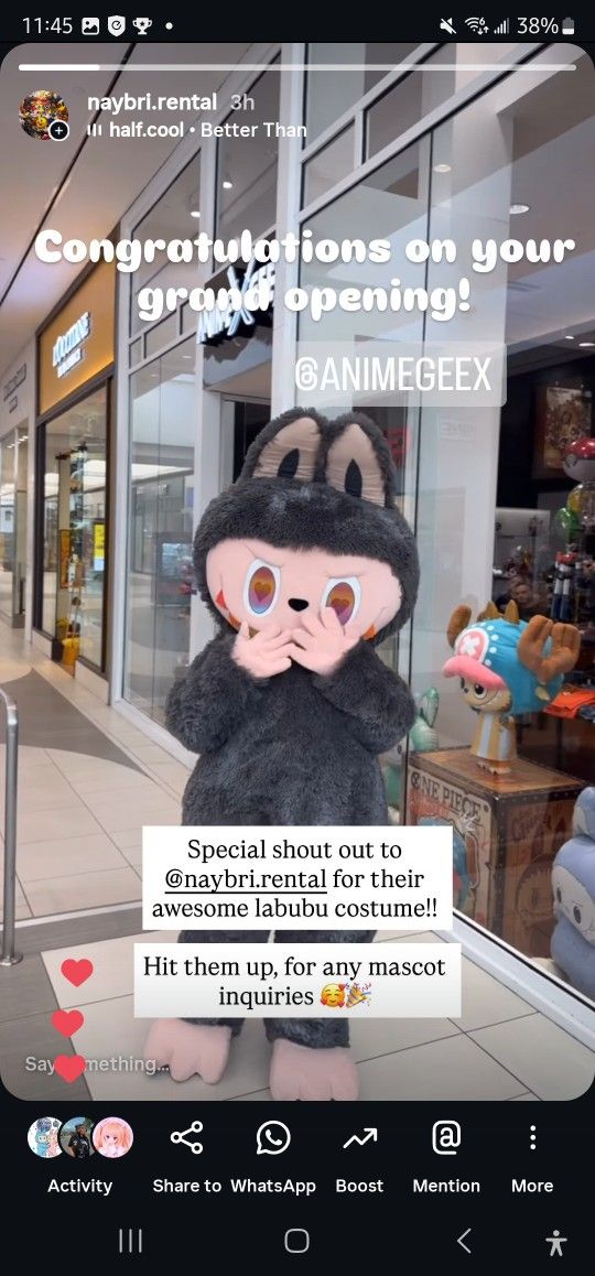 Secret Labubu Mascot Costume For Sale