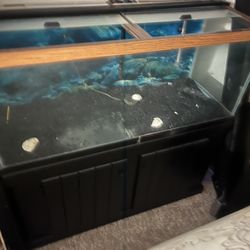 70 Gallon fish Tank with stand 300 Or Best Offer