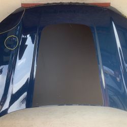 2019-2025 Subaru Forester Hood (10V)