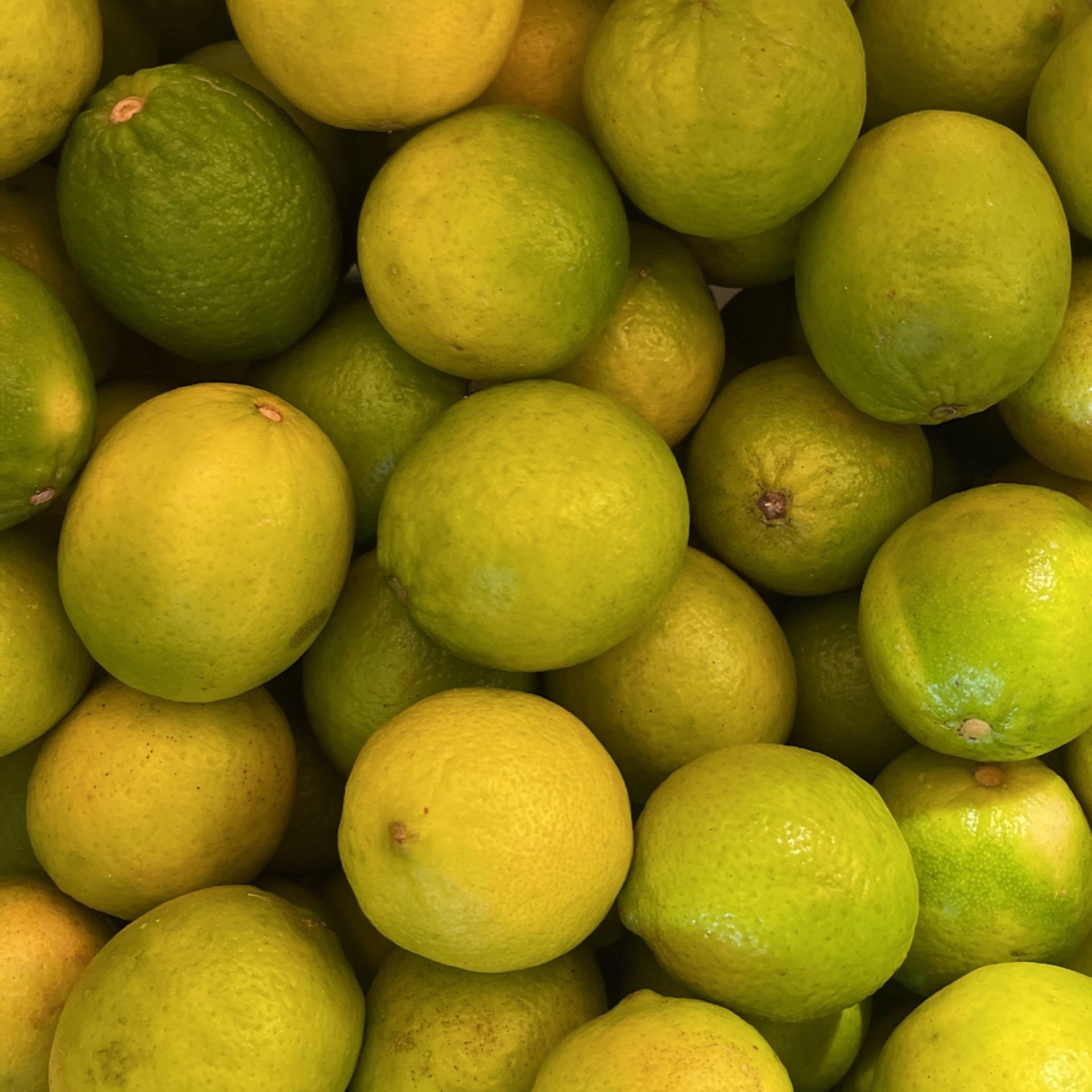 Lemons