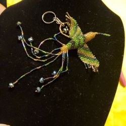 Beautiful Humming Bird