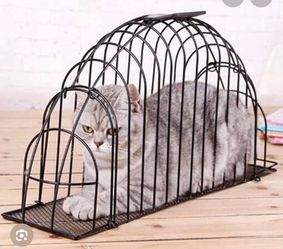 Cat Carrier