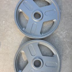 Olympic Weights 35lbs