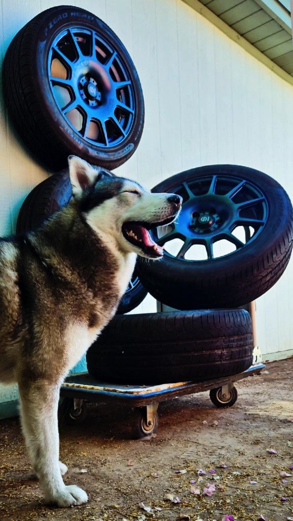 🔥❄️ FULL TIRE + RIM SET — READY FOR WINTER ❄️🔥
🎄 SPARCO TERRA + PIRELLI ALL-SEASON • 235/50R18 🎄
🏔️ DENVER WINTER DEAL — ONLY $600 🏔️