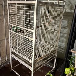 Bird Cage